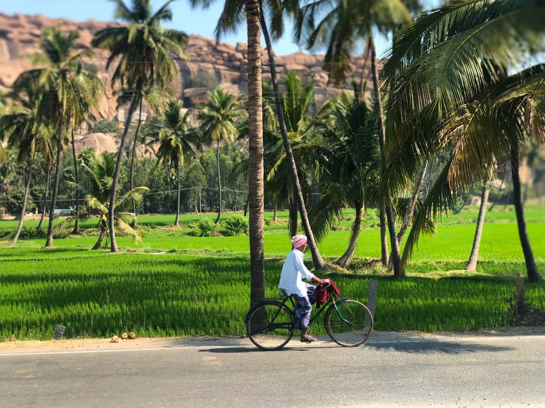 A person riding a bicycle in front of a palm tree