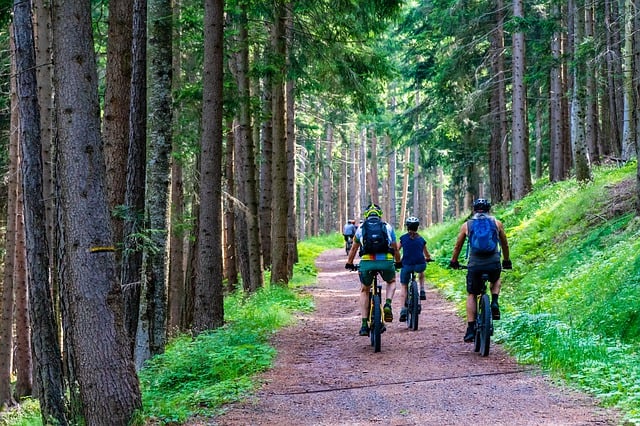 A person riding a bicycle on a dirt path in a forest